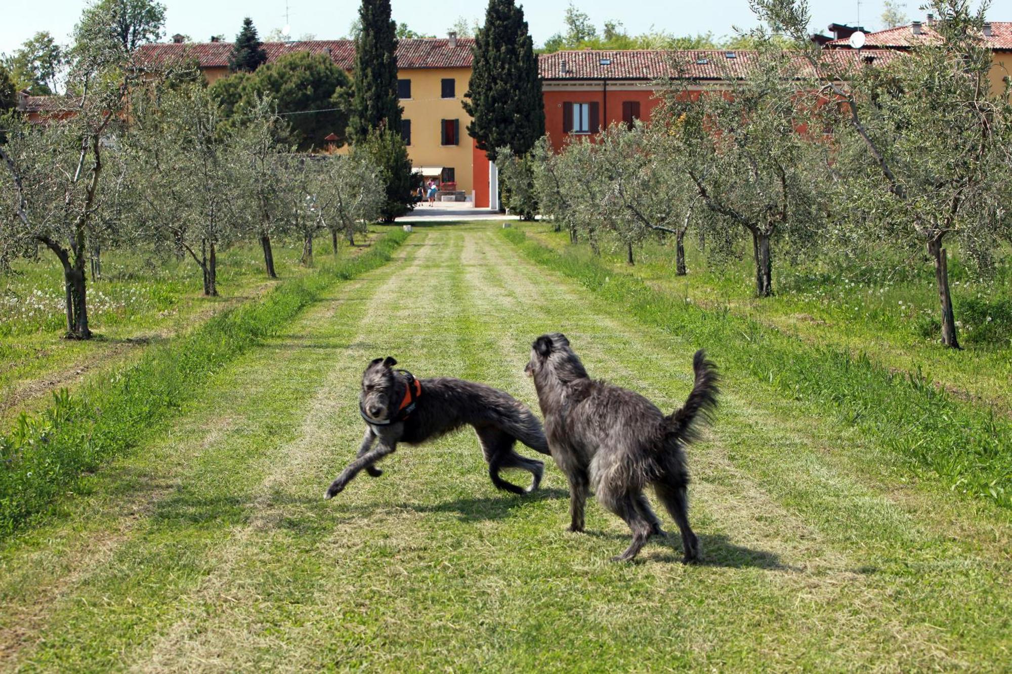Agriturismo La Filanda マネルバ・デル・ガルダ エクステリア 写真